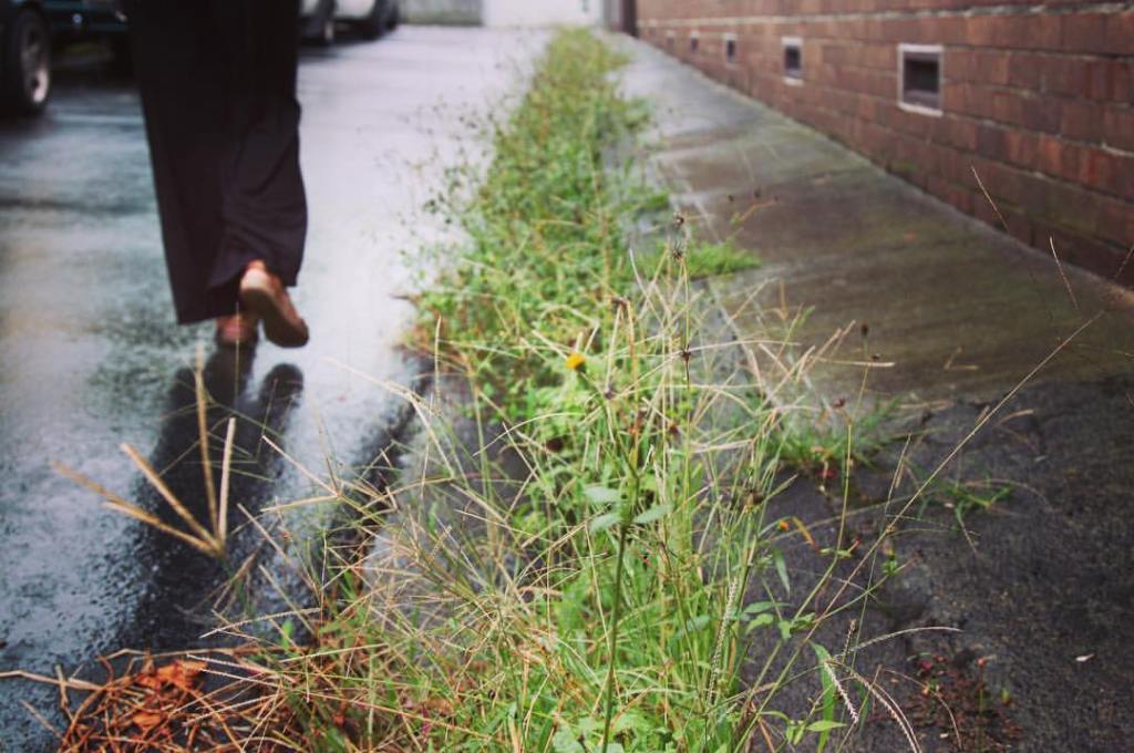 Holly O’Neil joins the&nbsp;team