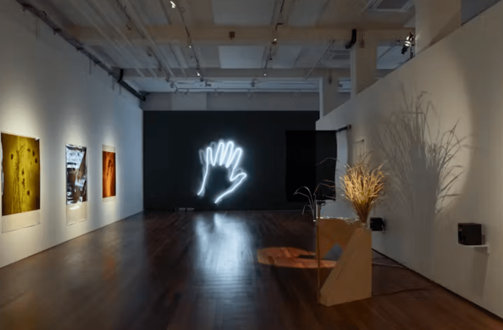 Ecological art can bring us closer to understanding&nbsp;nature