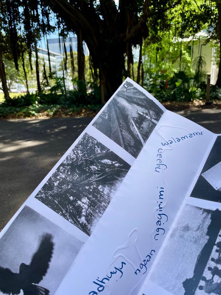 Yanma badhu (Dharug) – Water&nbsp;Walk