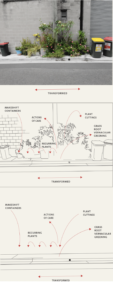 Visualise Urban Nature – Climate Action Week 2025