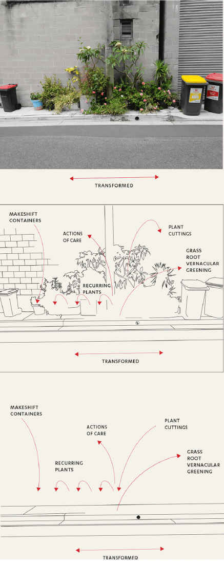 Visualise Urban Nature – Climate Action Week&nbsp;2025