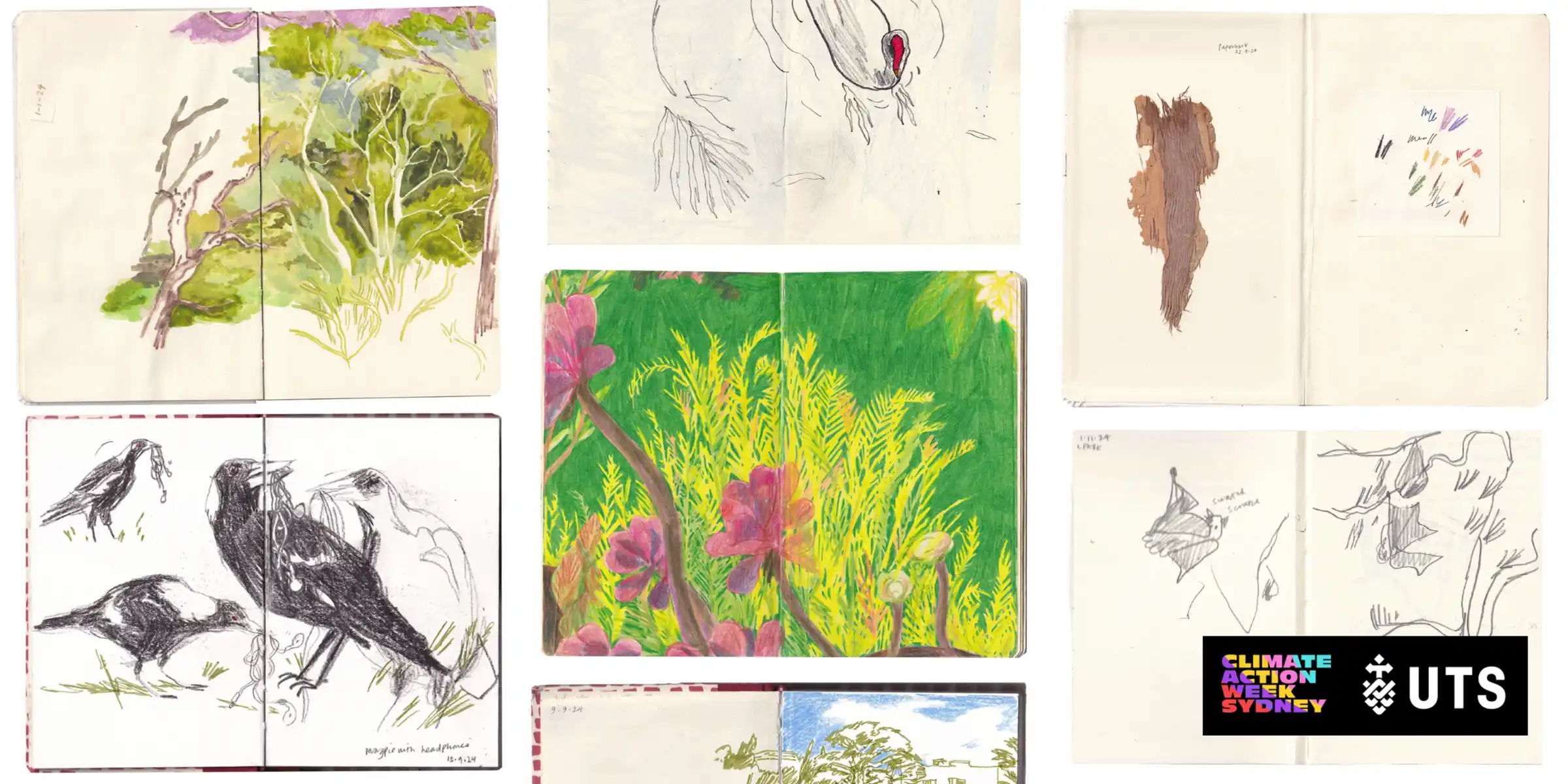 Lightning Talks: Creative Solutions for Sustainable Futures with UTS Visualisation Institute