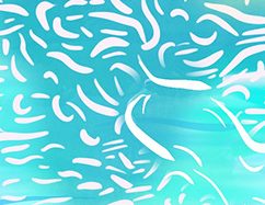 ‘Emergent Geographies’ Institute of Australian Geographers Conference 2025